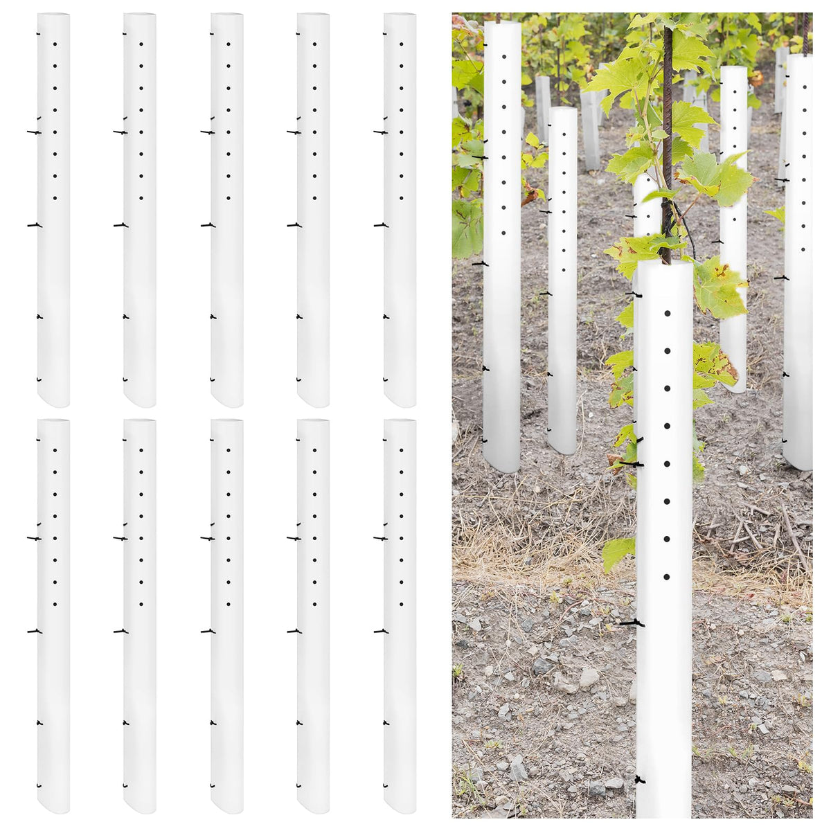Pushglossy tree grow tube 60-inch white shield protects seedlings and promotes healthy early growth.