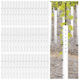 Pushglossy tree grow tube assembly for easy setup and durable seedling protection.