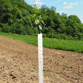 Pushglossy tree grow tubes with 4.15-inch diameter and 48-inch length specifications.