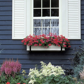 Pusonor six-pack includes screws and wall plugs for easy mounting.