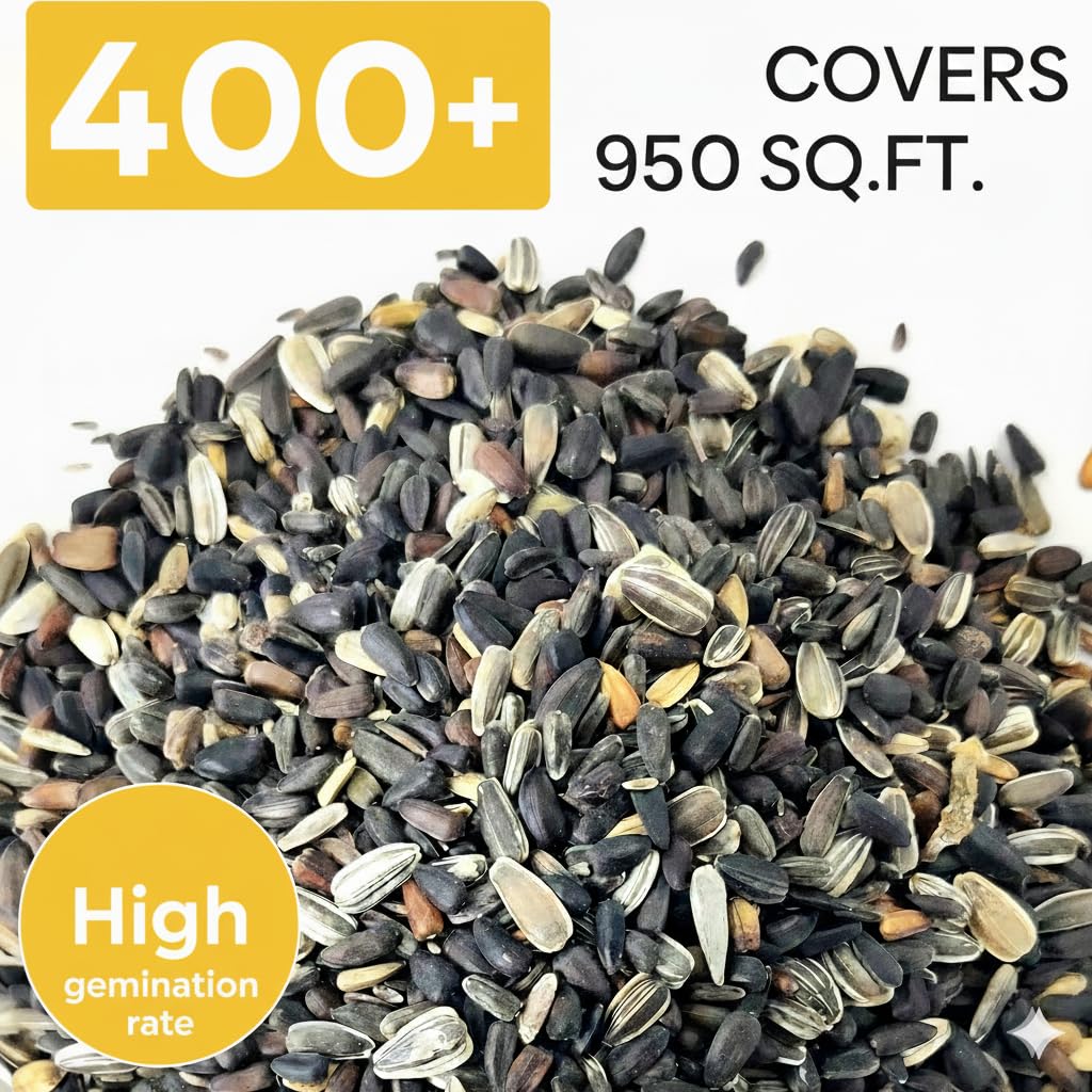 PUVWEZN sunflower seeds with high germination promote reliable sprouting
