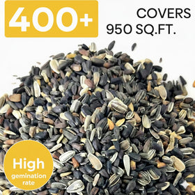PUVWEZN sunflower seeds with high germination promote reliable sprouting