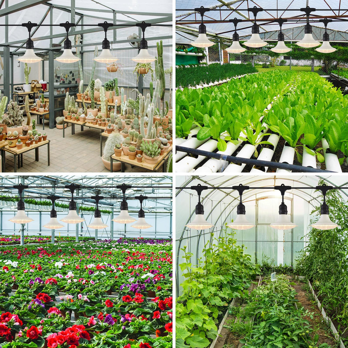 PuxiGrow 1-year warranty and support for reliable lighting