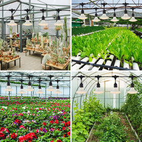 PuxiGrow 1-year warranty and support for reliable lighting