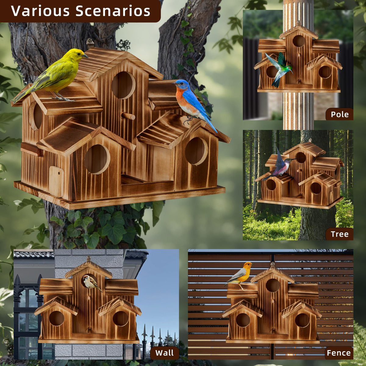 Puyikes 2-in-1 feeder and bird house attracts birds to yard