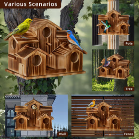 Puyikes 2-in-1 feeder and bird house attracts birds to yard