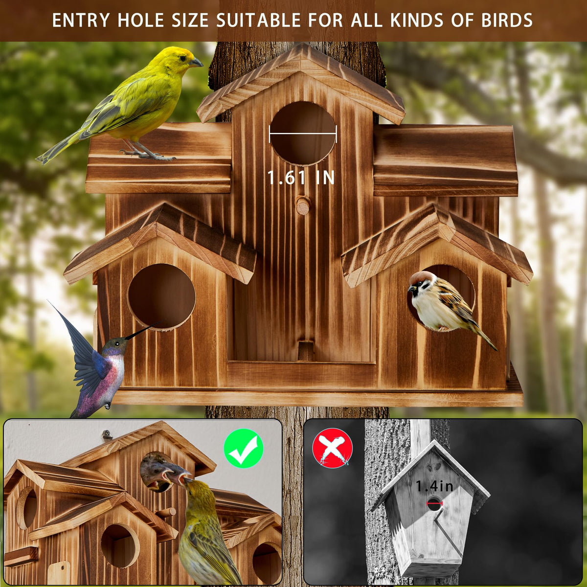 Puyikes cedar bird house with five nesting spaces for birds