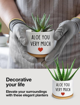 PWHINGN planter with visible drainage hole for healthy plants