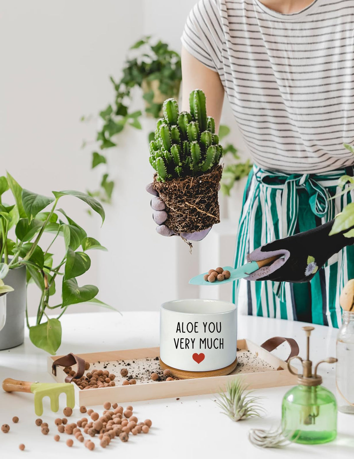 PWHINGN gift-ready ceramic planter suitable for plant lovers