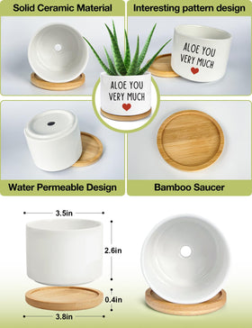PWHINGN porcelain geometric decor planter for modern spaces