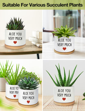 PWHINGN compact small planter for herbs or cacti