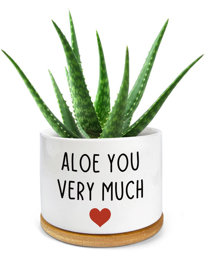 PWHINGN engraved white ceramic succulent planter on a desk