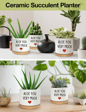 PWHINGN white ceramic planter with bamboo tray protecting surfaces