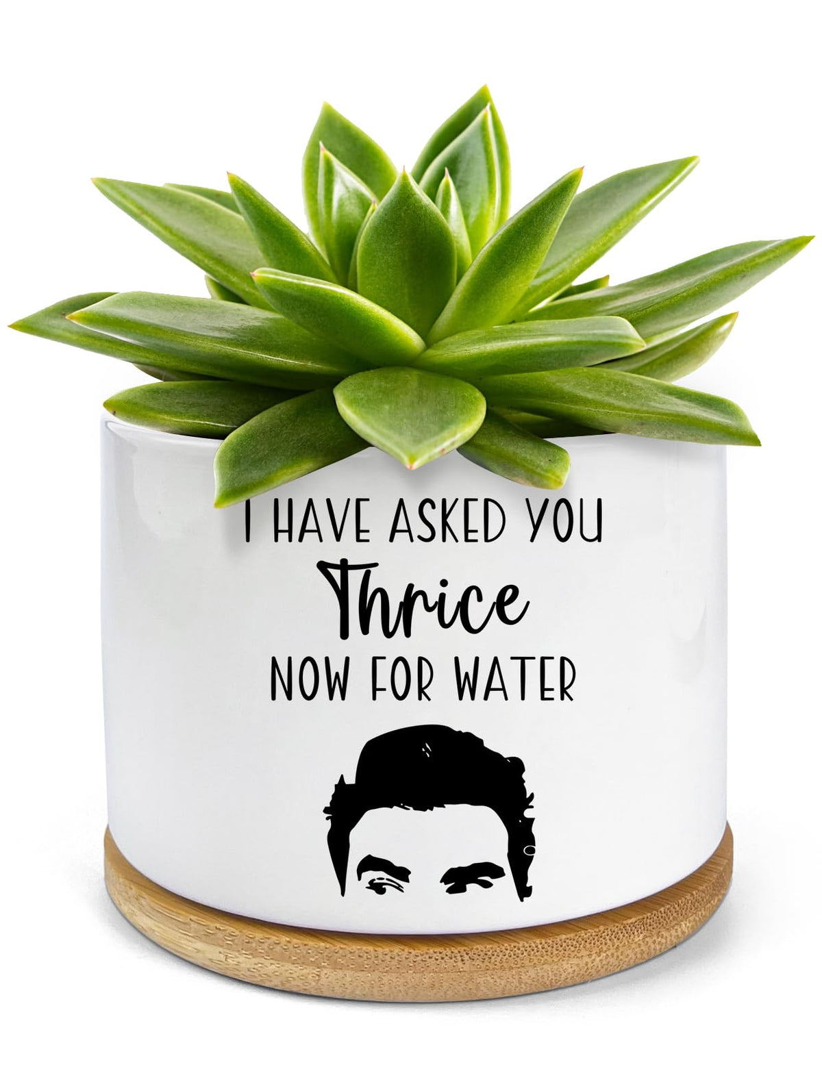 PWHINGN ceramic succulent pot with tray for stylish displays.