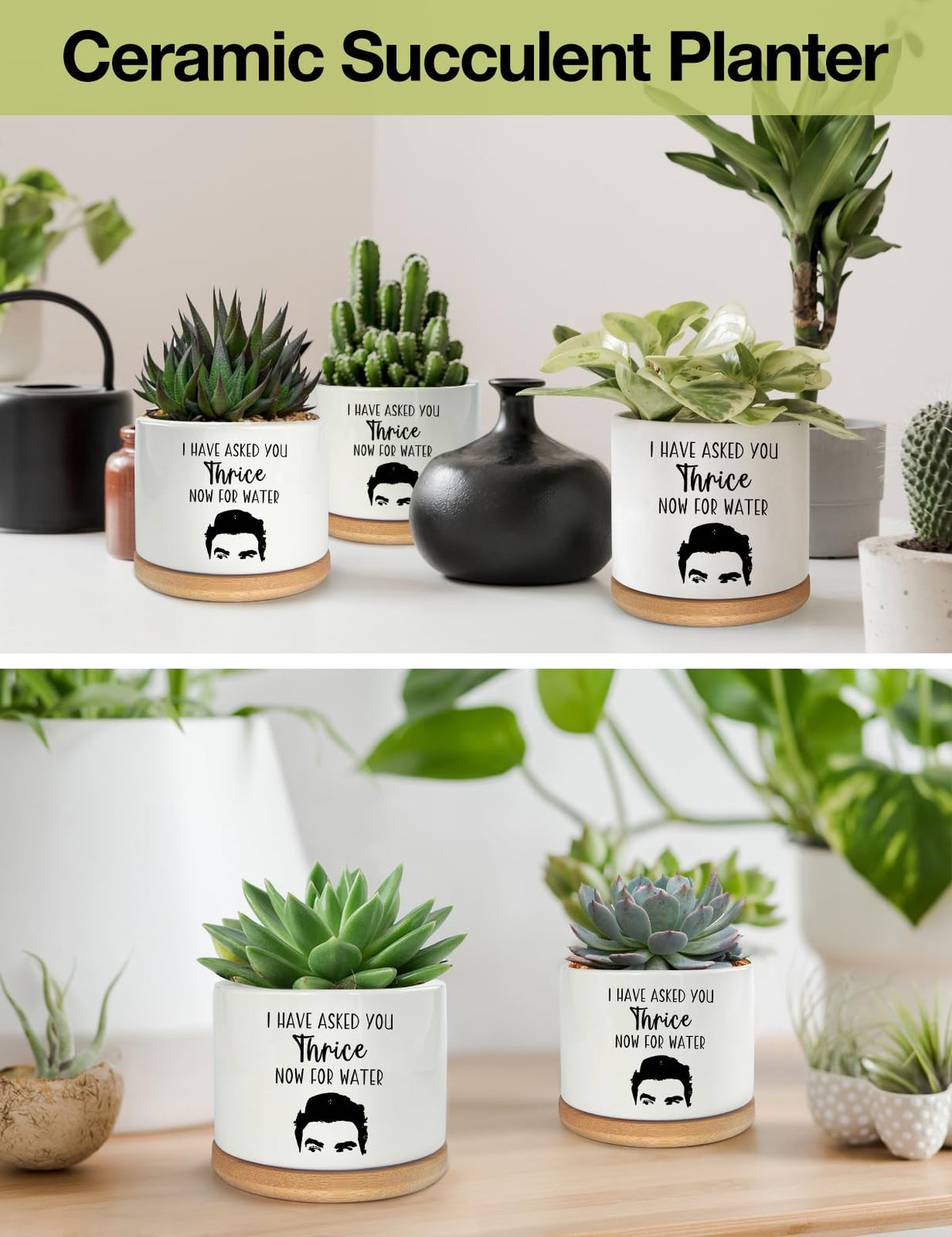 PWHINGN porcelain planter with geometric decor enhances spaces.