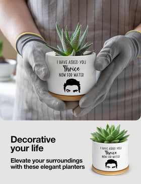 PWHINGN white round succulent pot complements any windowsill.