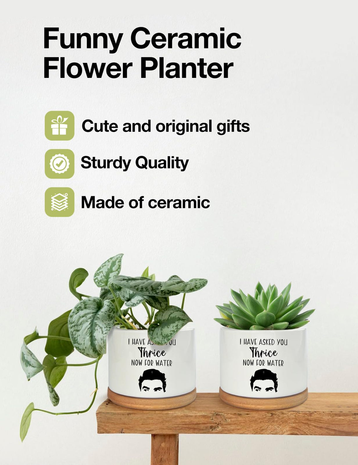 PWHINGN succulent pot ideal for windowsill and desk.