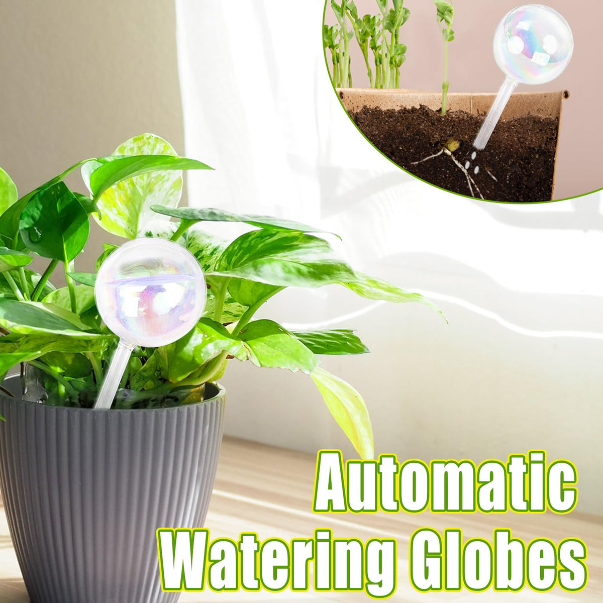 Pynqdfu globe suitable for indoor and outdoor pots and hanging plants