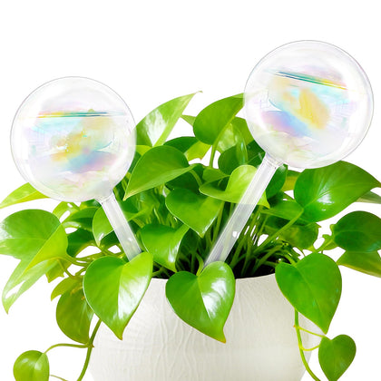 Pynqdfu rainbow gradient glass watering globe for indoor plants