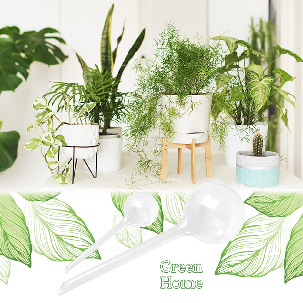 Pynqdfu self-watering bulbs for care when you’re away or busy.
