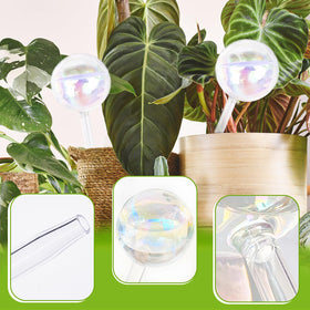 Pynqdfu two-pack makes a thoughtful plant lover gift for busy gardeners