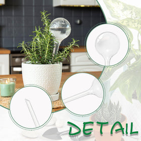 Pynqdfu watering globe in soil placement demonstrating self-watering action.