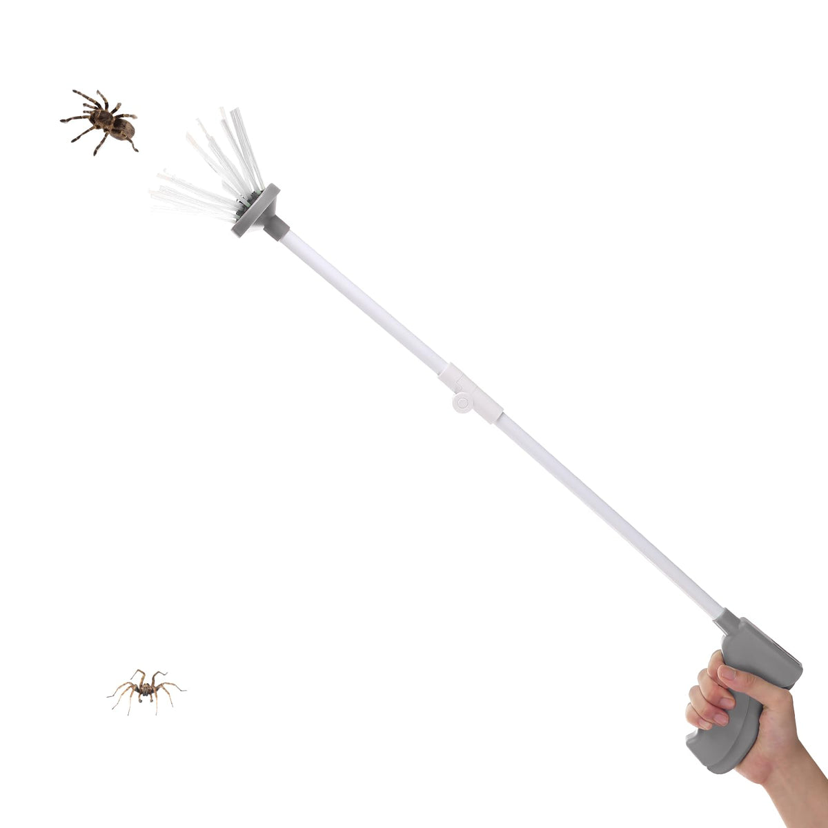 Qalveris spider catcher with foldable design for easy storage