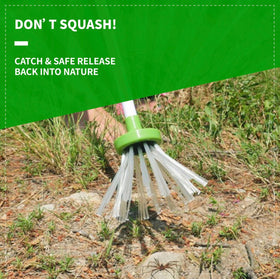 Qalveris spider catcher unfolded trap ready to capture insects