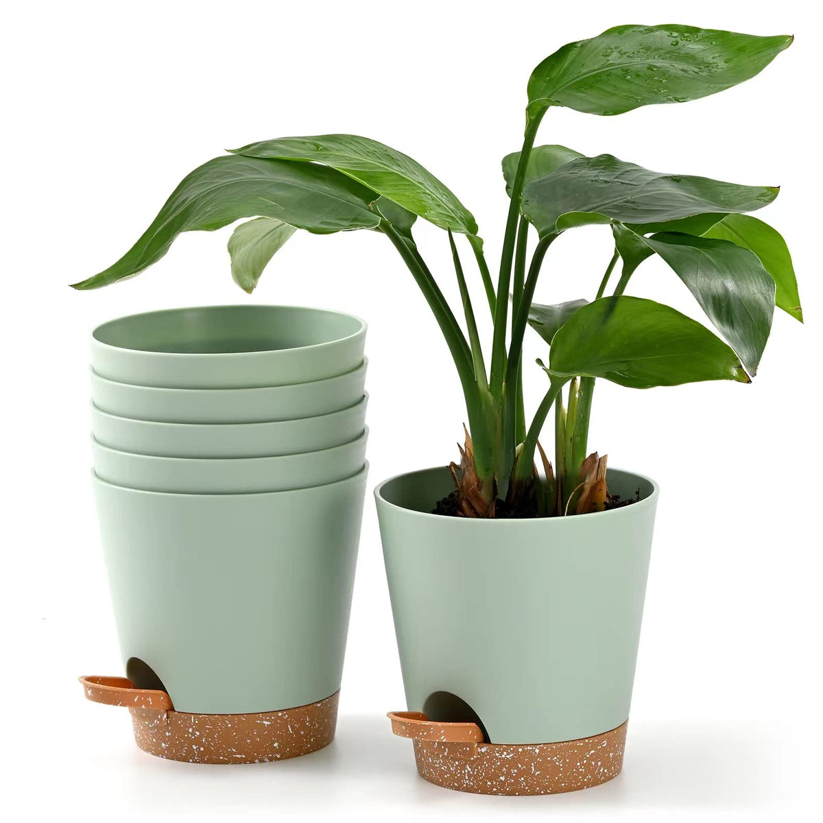 Qaobo 6-pack self-watering planters in green for cleaner indoor greenery.