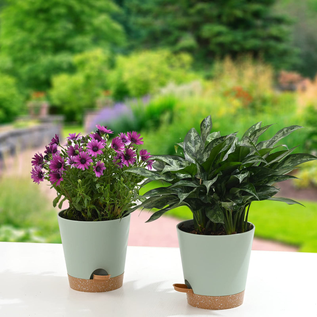 Qaobo gift-ready planters for moving homes or gifting friends.