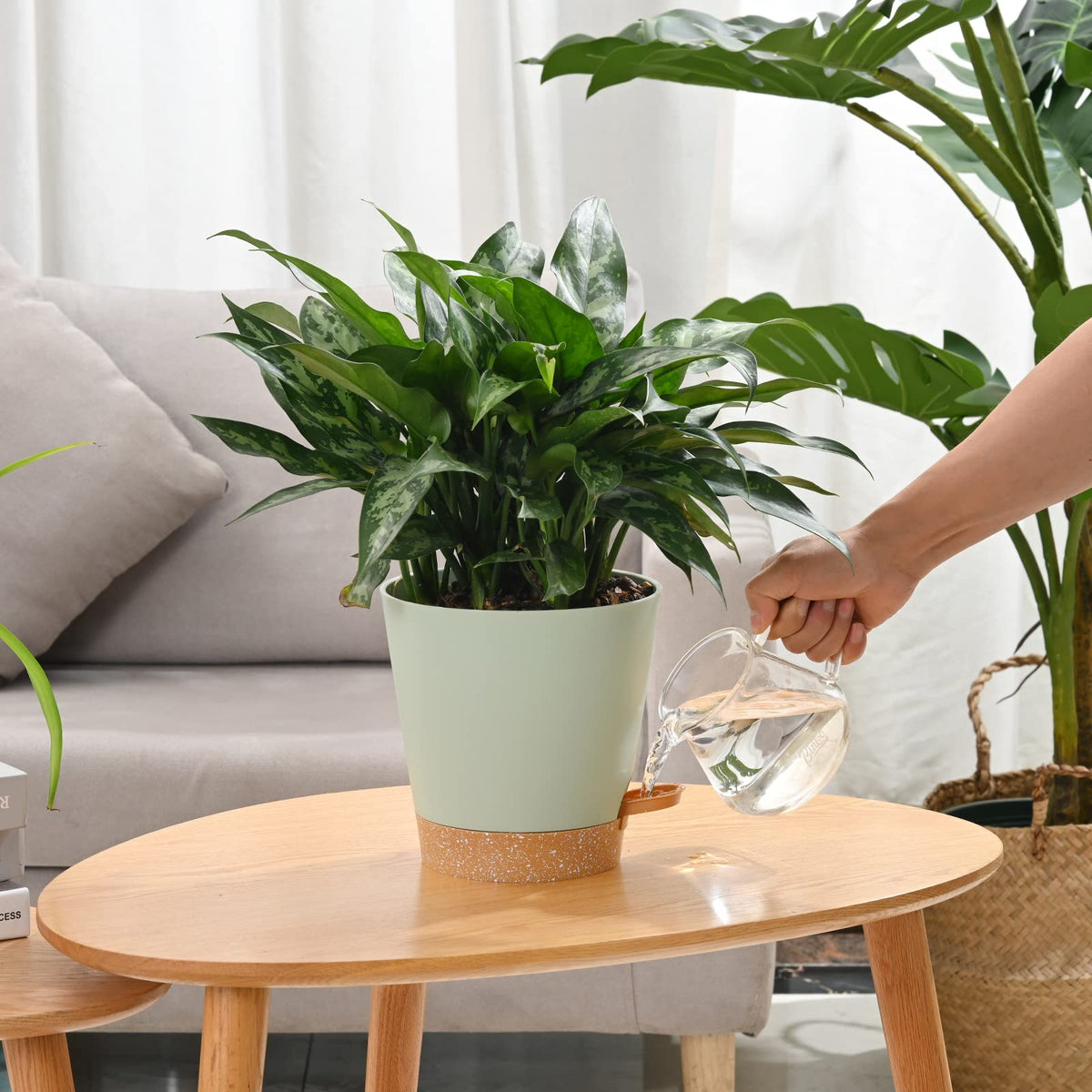 Qaobo reservoir tray with watering lip enables easy refilling without daily watering.