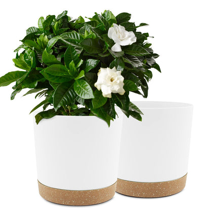QCQHDU 10-inch plant pot with drainage hole and saucer for indoor use