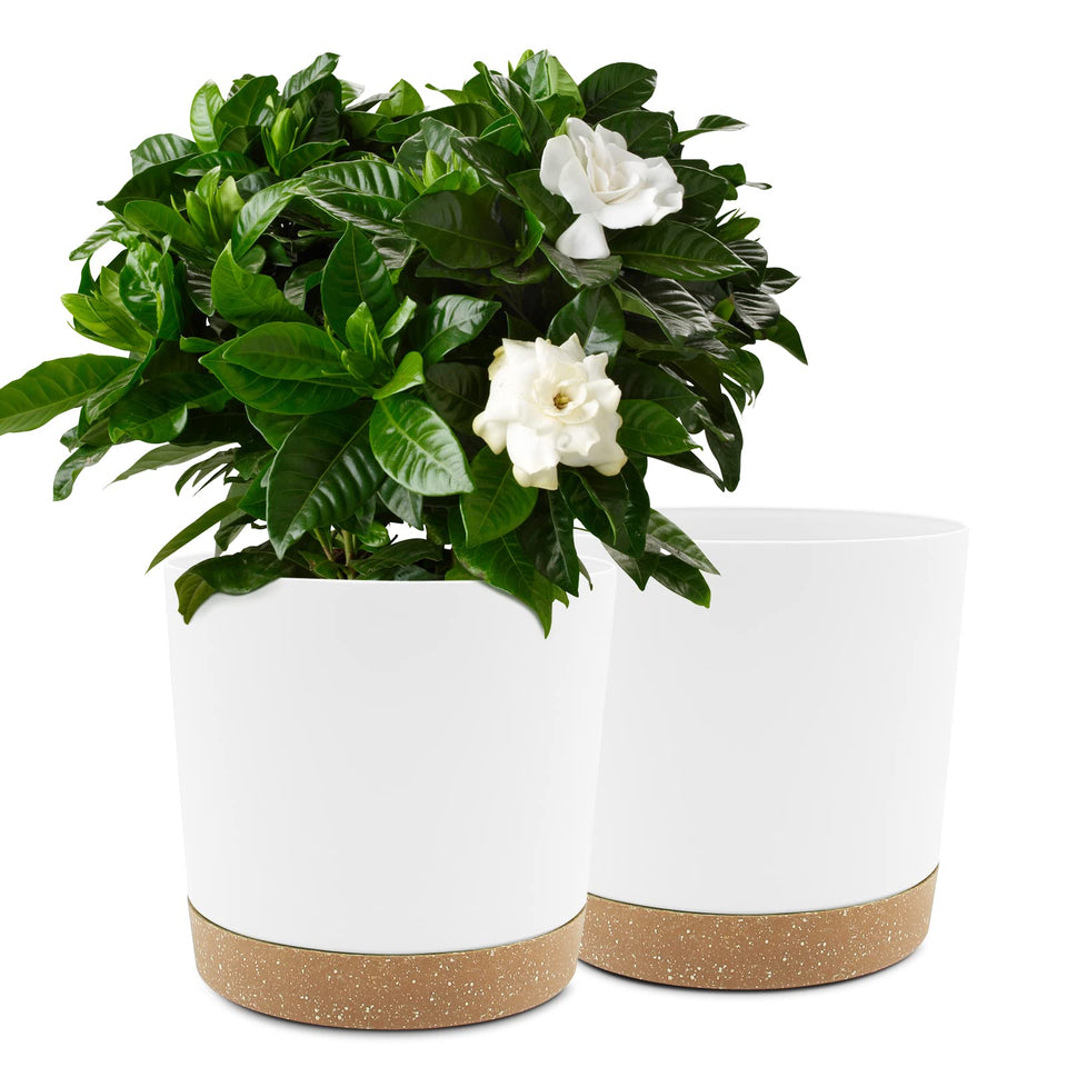 QCQHDU 10-inch plant pot with drainage hole and saucer for indoor use