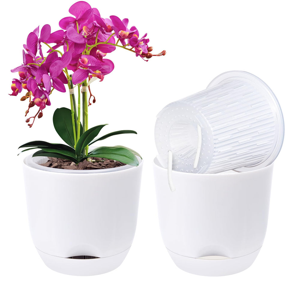 QCQHDU 2-pack orchid pots with holes for repotting, promoting airflow.