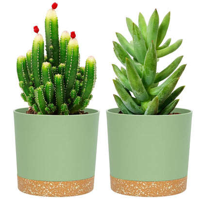 QCQHDU 5-inch plant pot with clean matte finish for modern indoor decor.
