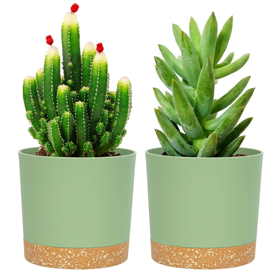 QCQHDU 5-inch plant pot with clean matte finish for modern indoor decor.