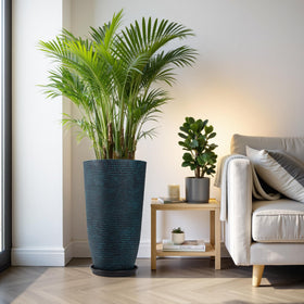QCQHDU two-pack planter with trays protects floors from water.