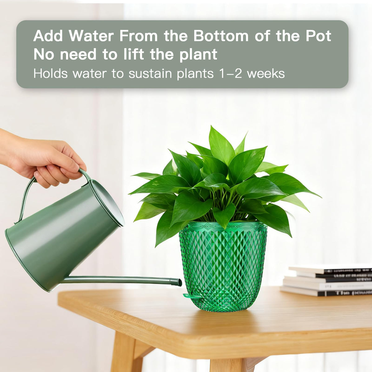 QCQHDU emerald diamond-design planter adds decorative color shift.