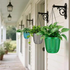 QCQHDU emerald indoor outdoor planter for versatile display.