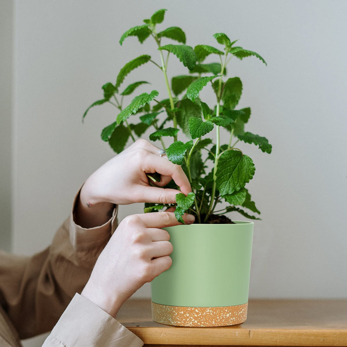 QCQHDU indoor-outdoor planter set adds cohesive style to shelves and windowsills.