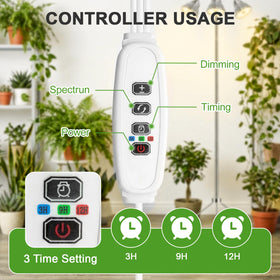 QCQHDU LED full-spectrum light supporting seedling development and early growth.