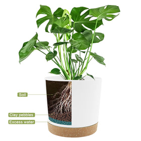 QCQHDU mix-and-match sizes support varied plant types and spaces