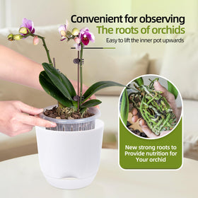 QCQHDU orchid pots showing 360-degree air circulation around roots.