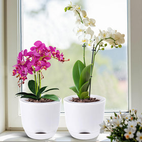 QCQHDU orchid pots featuring bottom overflow cone for drainage.
