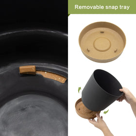 QCQHDU 10-inch pot with drainage holes and tray for water management