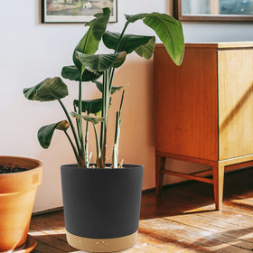 QCQHDU 10-inch indoor-outdoor decor pot in minimalist style