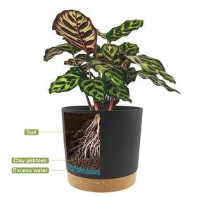 QCQHDU 10-inch pot with tray, ideal for balcony herb gardens