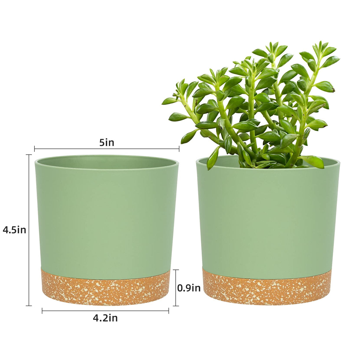 QCQHDU plant pot with tray demonstrating easy drainage and moisture control.