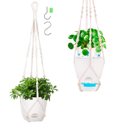 QCQHDU self-watering planter 2-pack with reservoir for effortless watering.