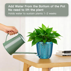 QCQHDU 2-pack self-watering pot cotton rope wick promotes steady moisture.